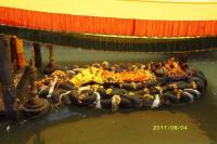 welcome to our city tour programmed