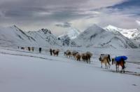 Welcome to Everest land trek for trekking in the Upper dolpo please for father more detail visit www.everestlandtrek.com